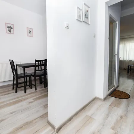Antic Apartament